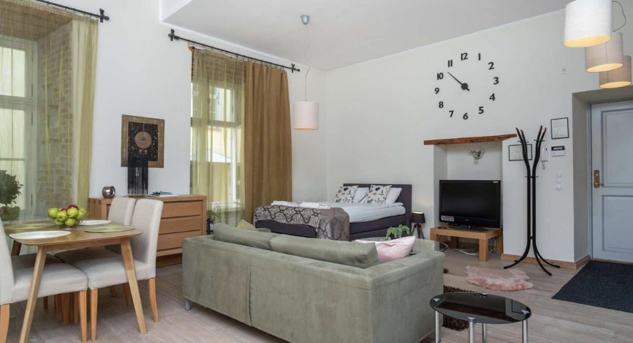 Spacious Studio Apartment In The Heart Of Old Town Tallinn Ngoại thất bức ảnh